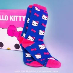 Brick Pops Inc. Funko Hello Kitty 45th Birthday Collectors Box With Pop! Vinyl Figure And Notebook, Patch, Pin, Socks & Water Bottle