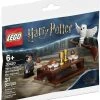 Brick Pops Inc. LEGO Harry Potter 30420 Harry Potter And Hedwig Owl Delivery (27 Pieces) Building Kit