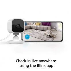 Brick Pops Inc. Blink Mini Compact Indoor Smart Security Camera